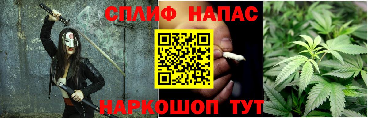 Бошки Шишки план Узловая